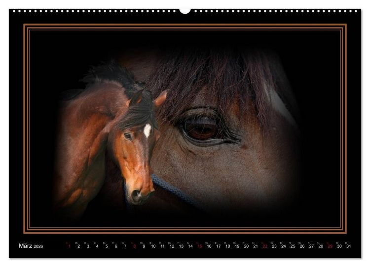 Produktbild: Traumpferde-ART-Collection (hochwertiger Premium Wandkalender 2026 DIN A2 quer), Kunstdruck in Hochglanz
