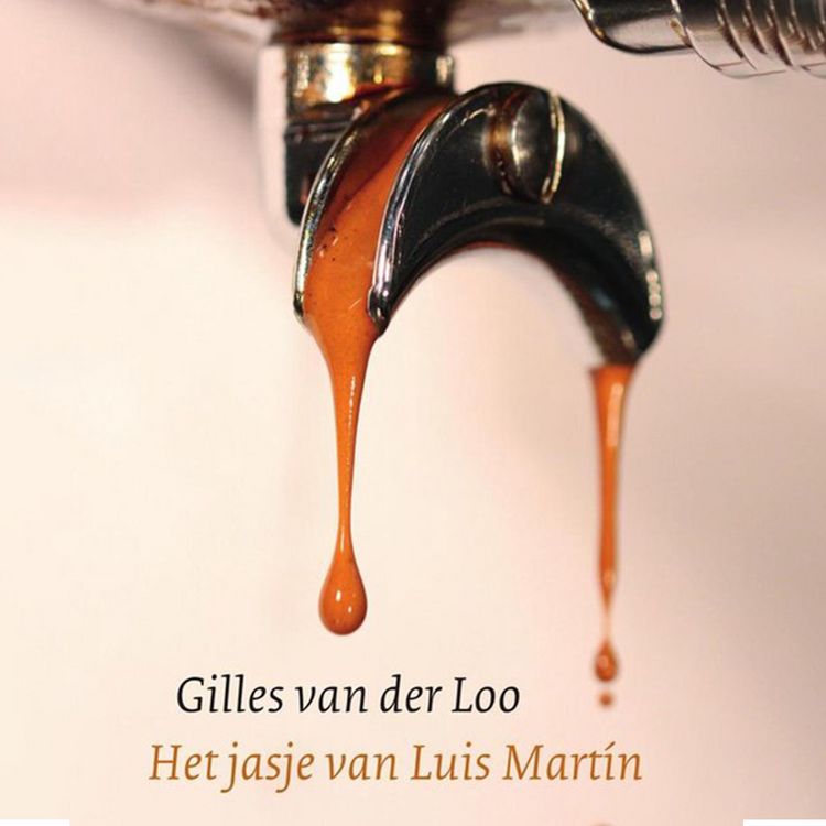 Produktbild: Het jasje van Luis Martin