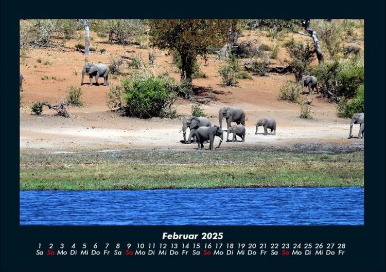 Produktbild: Elefanten - Die sanften Riesen Afrikas 2025 Fotokalender DIN A4