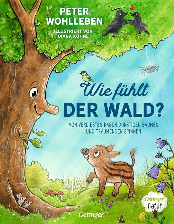 Produktbild: Wie fühlt der Wald?