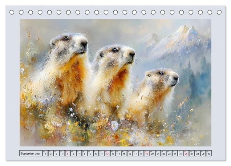 Produktbild: Murmeltiere. Kleine W&auml;chter der Berge (Tischkalender 2027 DIN A5 quer), CALVENDO Monatskalender