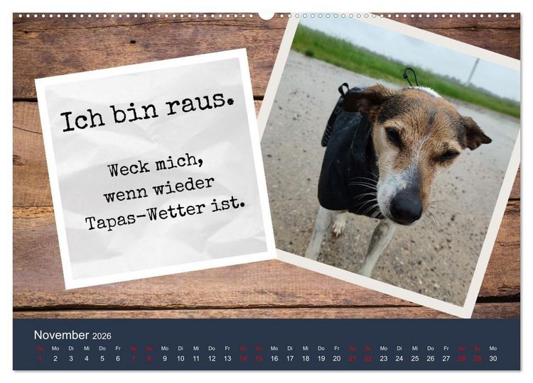 Produktbild: Ratonero Bodeguero Andaluz (Wandkalender 2026 DIN A2 quer), CALVENDO Monatskalender