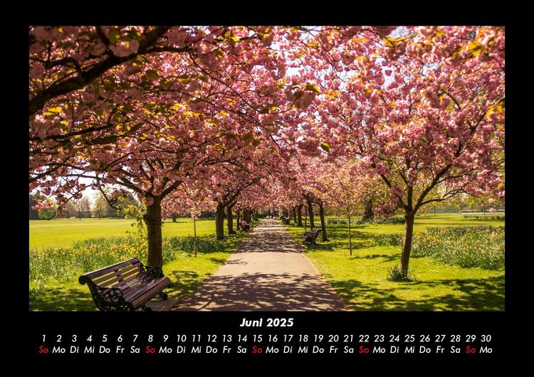 Produktbild: B&auml;ume 2025 Fotokalender DIN A3