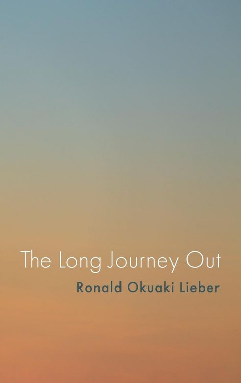 Produktbild: The Long Journey Out