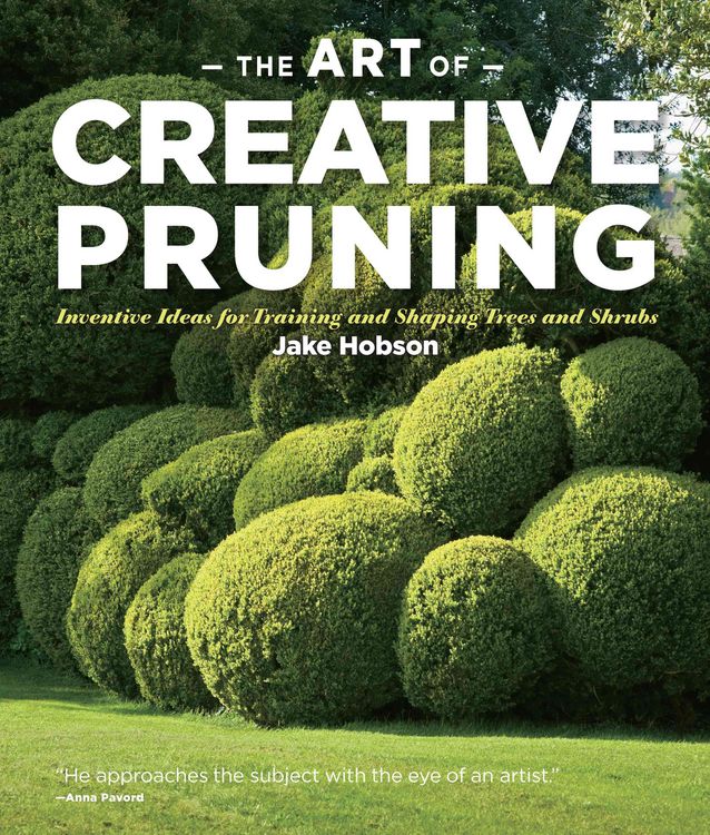 Produktbild: Hobson, J: Art of Creative Pruning Inventive Ideas for Train