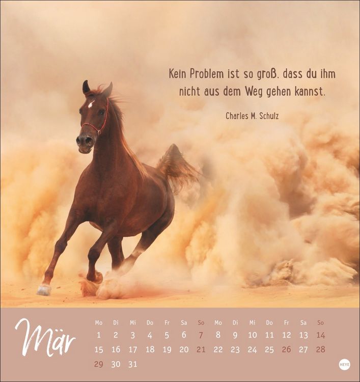 Produktbild: Never give up! Postkartenkalender 2027 - Durchhalten. Denn alles wird gut.