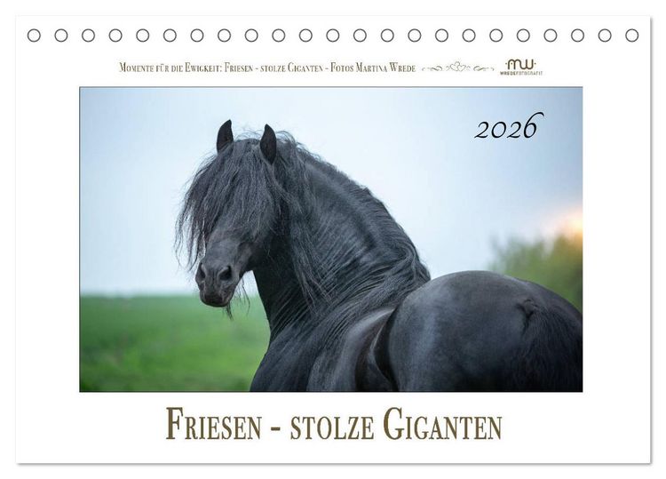 Produktbild: Friesen - stolze Giganten (Tischkalender 2026 DIN A5 quer), CALVENDO Monatskalender
