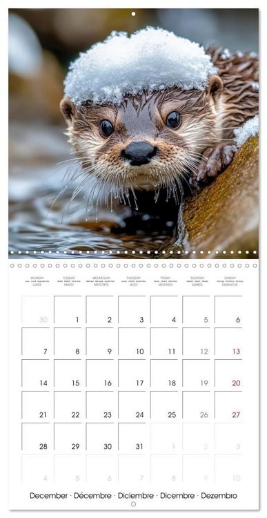 Produktbild: Cute Otter Moments (Wall Calendar 2026 12 &times; 12 Inch) CALVENDO 12 Month Wall Calendar