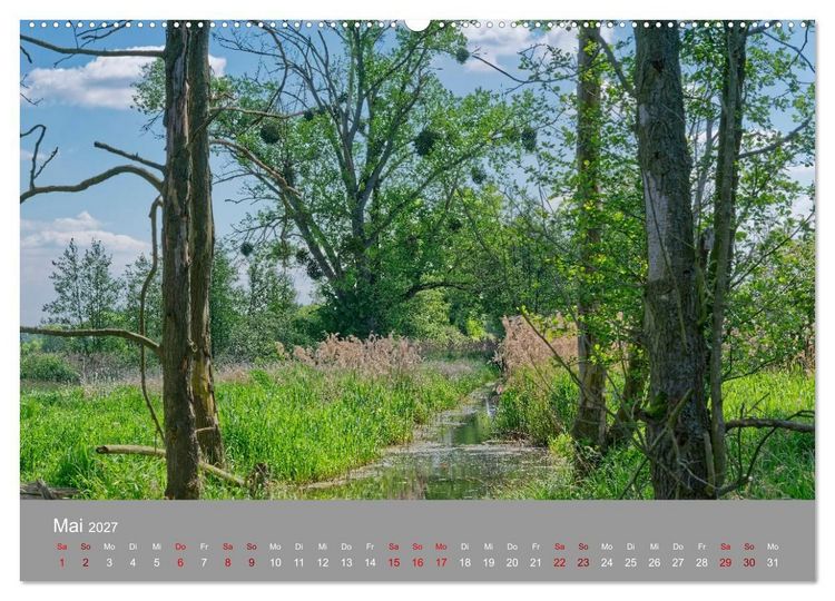 Produktbild: Naturerlebnis im Biosph&auml;renreservat Dr&ouml;mling (hochwertiger Premium Wandkalender 2027 DIN A2 quer), Kunstdruck in Hochglanz