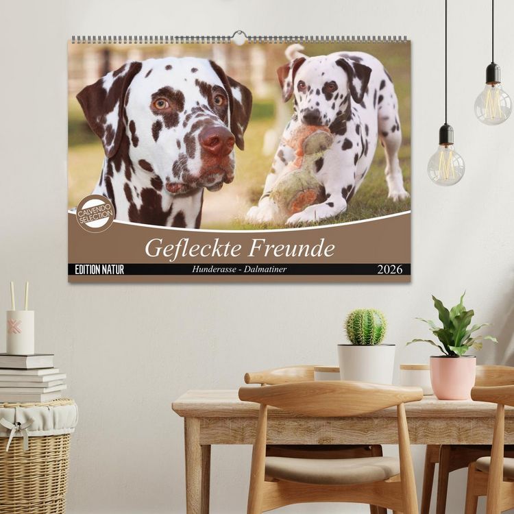 Produktbild: Gefleckte Freunde - Hunderasse Dalmatiner (Wandkalender 2026 DIN A2 quer), CALVENDO Monatskalender