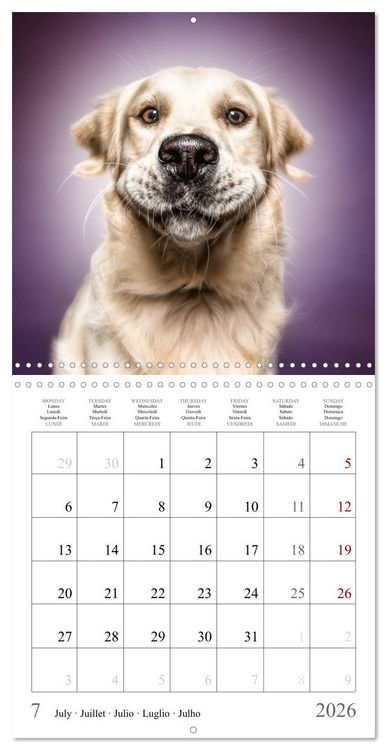 Produktbild: Funny Dog Faces (Wall Calendar 2026 12 &times; 12 Inch) CALVENDO 12 Month Wall Calendar