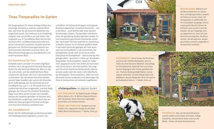 Produktbild: Kaninchen im Au&szlig;engehege