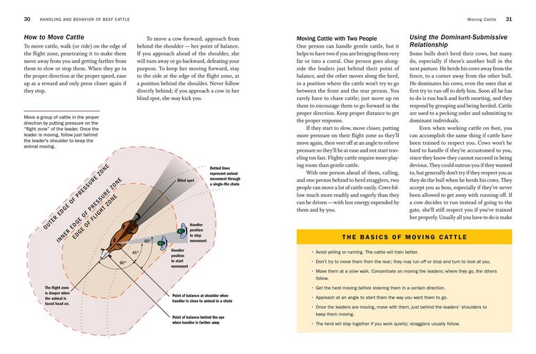 Produktbild: Storey's Guide to Raising Beef Cattle, 4th Edition