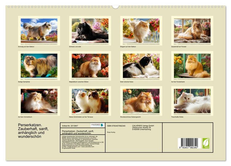 Produktbild: Perserkatzen. Zauberhaft, sanft, anh&auml;nglich und wundersch&ouml;n (hochwertiger Premium Wandkalender 2026 DIN A2 quer), Kunstdruck in Hochglanz