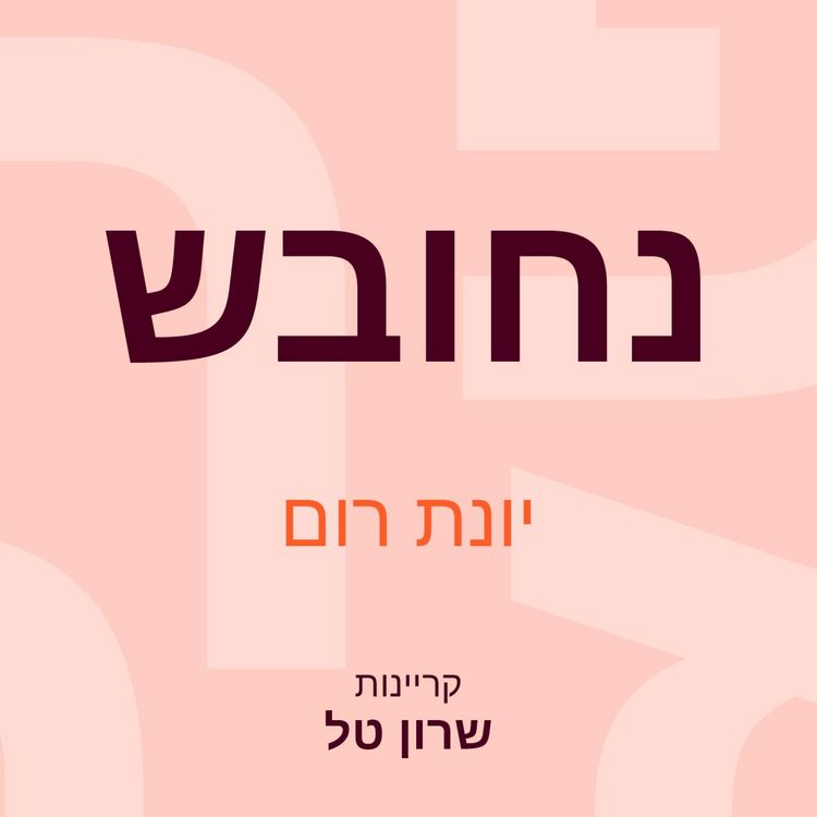 Produktbild: נחובש