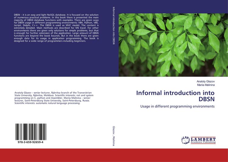 Produktbild: Informal introduction into DBSN
