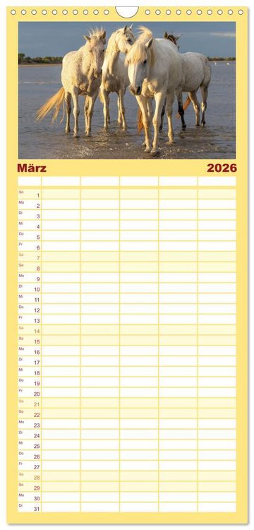 Produktbild: Familienplaner 2026 - Die wei&szlig;en Pferde der Camargue mit 5 Spalten (Wandkalender, 21 x 45 cm) CALVENDO