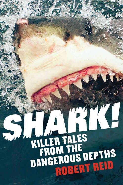 Produktbild: Reid, R: Shark!