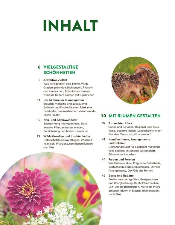 Produktbild: Das gro&szlig;e Buch der Stauden und Sommerblumen