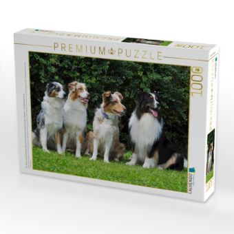 Produktbild: CALVENDO Puzzle Ein Motiv aus dem Kalender Bekannt wie ein bunter Hund. Australian Shepherd - Familienplaner hoch | 1000 Teile Lege-Gr&ouml;&szlig;e 64x48cm Foto