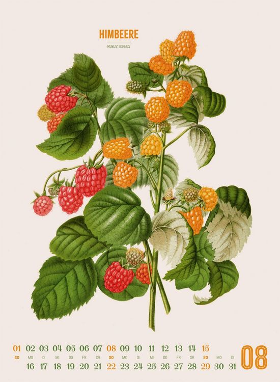 Produktbild: Obstgarten Kalender 2027 | Apfel, Birne, Pflaume & Co.
