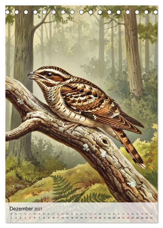Produktbild: V&ouml;gel, die man selten sieht (Tischkalender 2027 DIN A5 hoch), CALVENDO Monatskalender