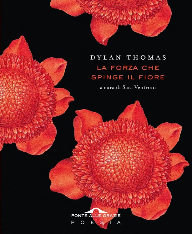 Produktbild: La forza che spinge il fiore