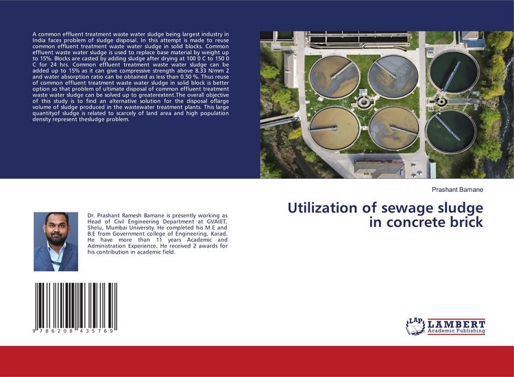 Produktbild: Utilization of sewage sludge in concrete brick