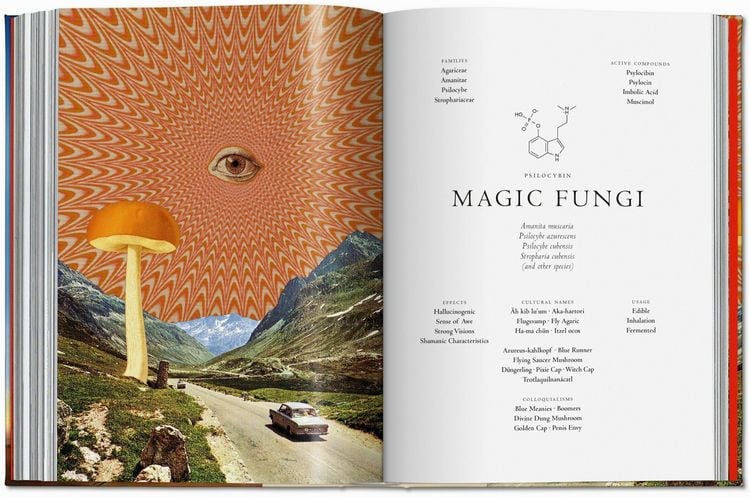 Produktbild: Pflanzen-Magie. Bibliothek der Esoterik