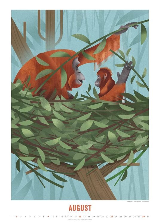 Produktbild: Dieter Braun: Die Welt der Tiere 2026 – Wandkalender – Format 50x70 cm