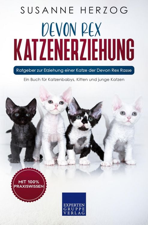 Produktbild: Devon Rex Katzenerziehung - Ratgeber zur Erziehung einer Katze der Devon Rex Rasse