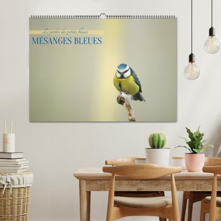 Produktbild: M&eacute;sanges bleues (Calendrier mural 2027 DIN A2 vertical), CALVENDO calendrier mensuel