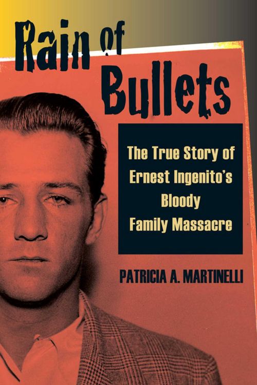 Produktbild: Rain of Bullets