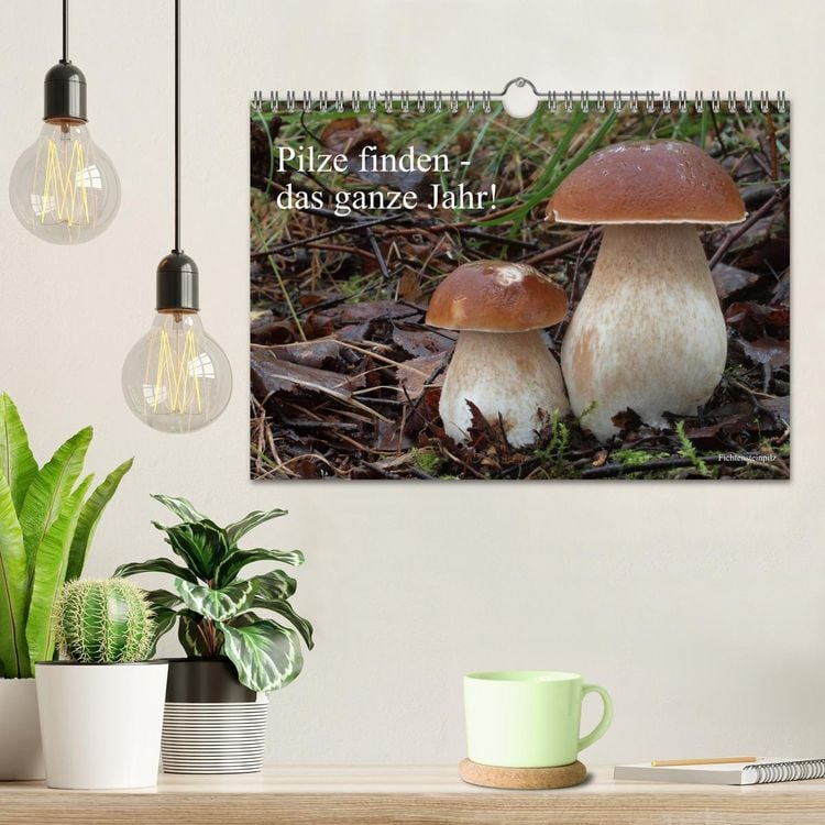 Produktbild: Pilze finden - das ganze Jahr! (Wandkalender 2027 DIN A4 quer), CALVENDO Monatskalender