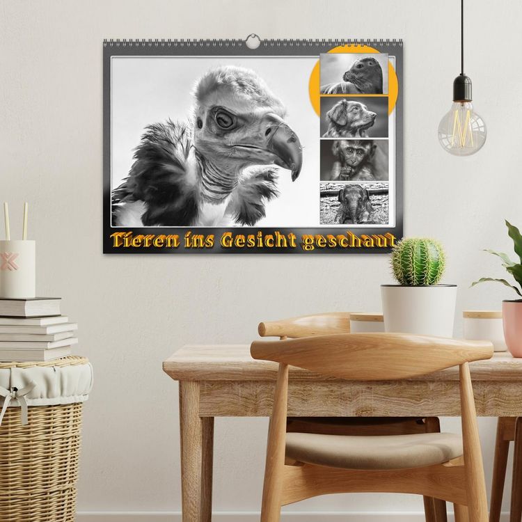 Produktbild: Tieren ins Gesicht geschaut (Wandkalender 2026 DIN A3 quer), CALVENDO Monatskalender