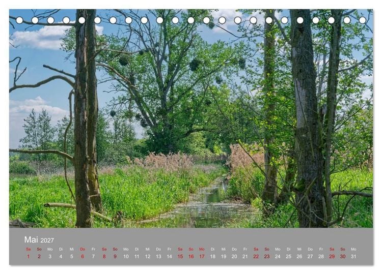 Produktbild: Naturerlebnis im Biosph&auml;renreservat Dr&ouml;mling (Tischkalender 2027 DIN A5 quer), CALVENDO Monatskalender