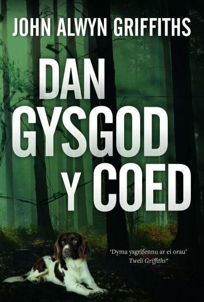 Produktbild: Dan Gysgod y Coed