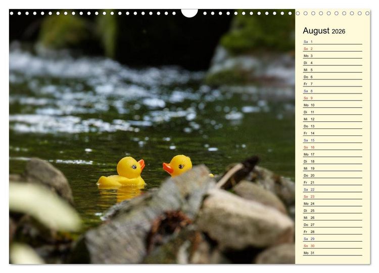 Produktbild: Enten-Rennen (Wandkalender 2026 DIN A3 quer), CALVENDO Monatskalender