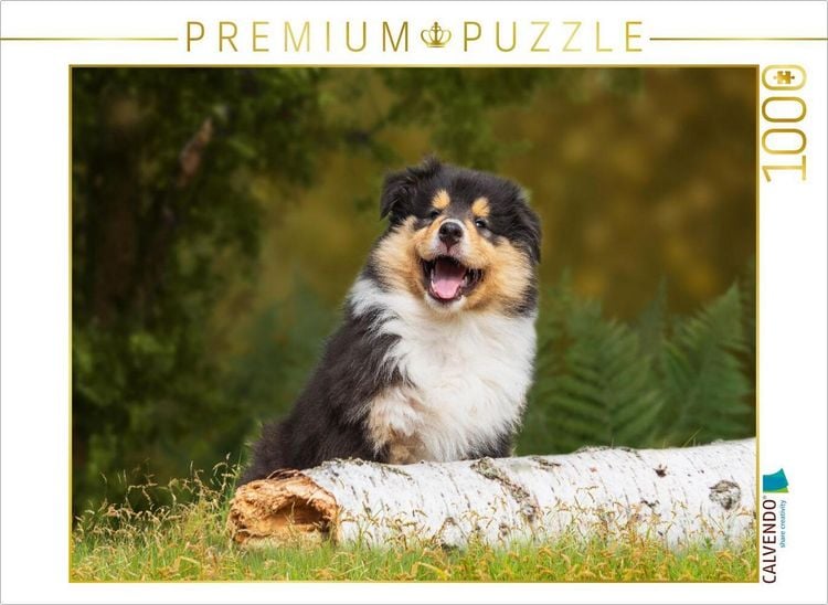 Produktbild: CALVENDO Puzzle Kleiner Weltentdecker - ein Colliewelpe | 1000 Teile Lege-Gr&ouml;&szlig;e 64x48cm Foto-Puzzle f&uuml;r gl&uuml;ckliche Stunden