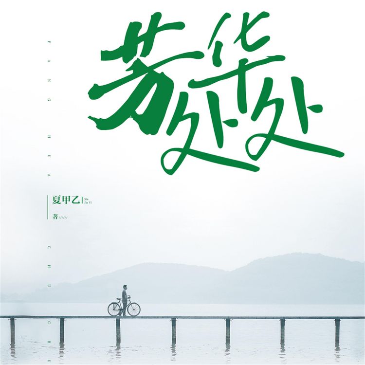 Produktbild: 芳华处处