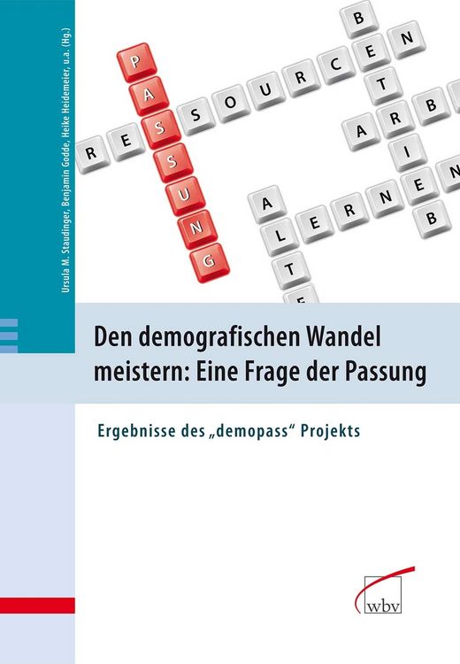 Produktbild: Den demografischen Wandel meistern: Eine Frage der Passung