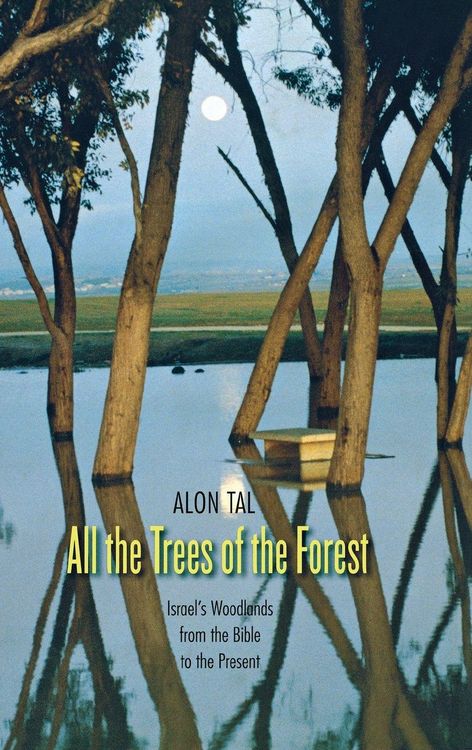 Produktbild: All the Trees of the Forest