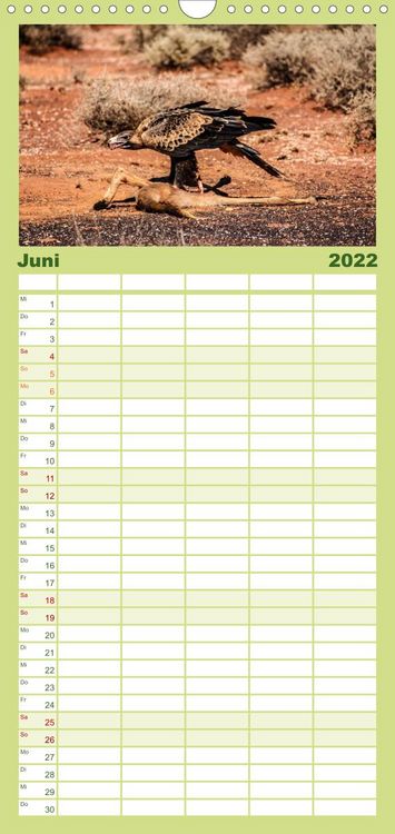 Produktbild: Outback Life - Australien - Familienplaner hoch (Wandkalender 2022 , 21 cm x 45 cm, hoch)