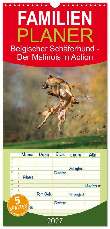 Produktbild: Familienplaner 2027 - Belgischer Sch&auml;ferhund - Der Malinois in Action mit 5 Spalten (Wandkalender, 21 x 45 cm) CALVENDO