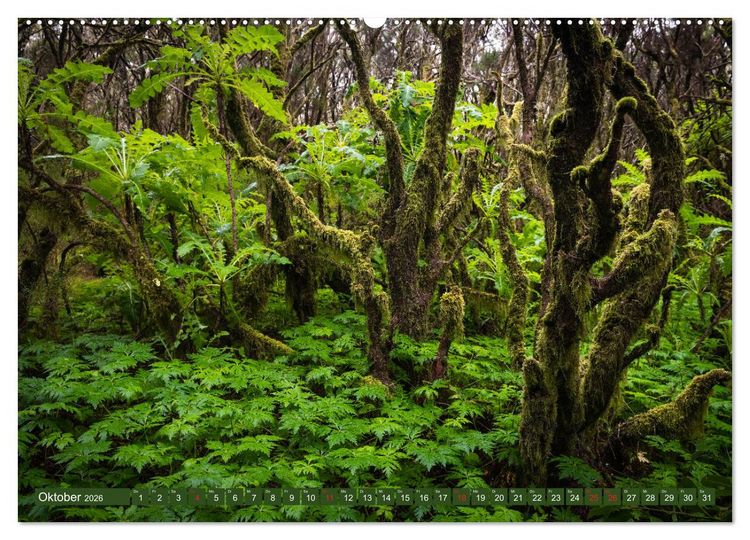 Produktbild: La Gomera - Vielseitige Insel (hochwertiger Premium Wandkalender 2026 DIN A2 quer), Kunstdruck in Hochglanz