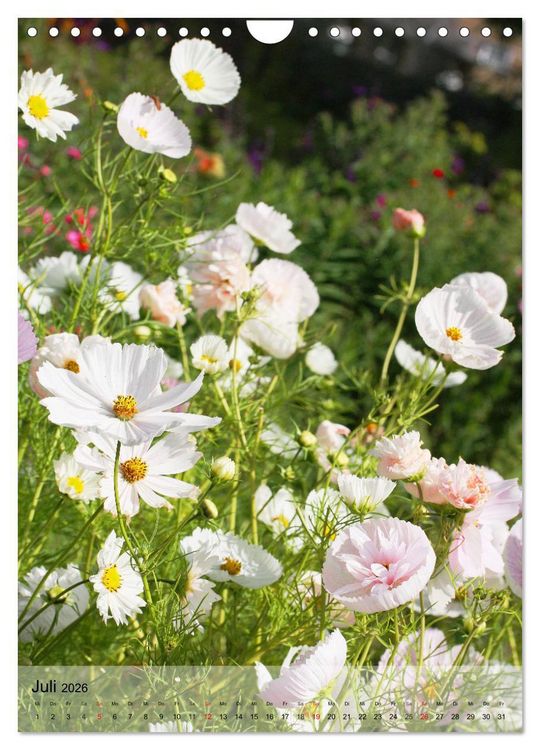 Produktbild: Ferien im Garten (Wandkalender 2026 DIN A4 hoch), CALVENDO Monatskalender