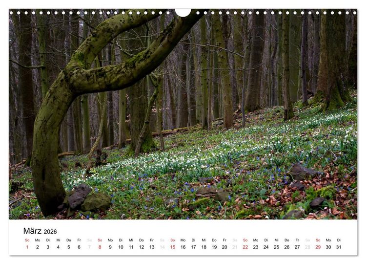 Produktbild: Naturerlebnis im Biosph&auml;renreservat Rh&ouml;n (Wandkalender 2026 DIN A3 quer), CALVENDO Monatskalender