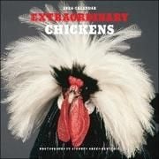 Produktbild: Extraordinary Chickens 2026 Wall Calendar