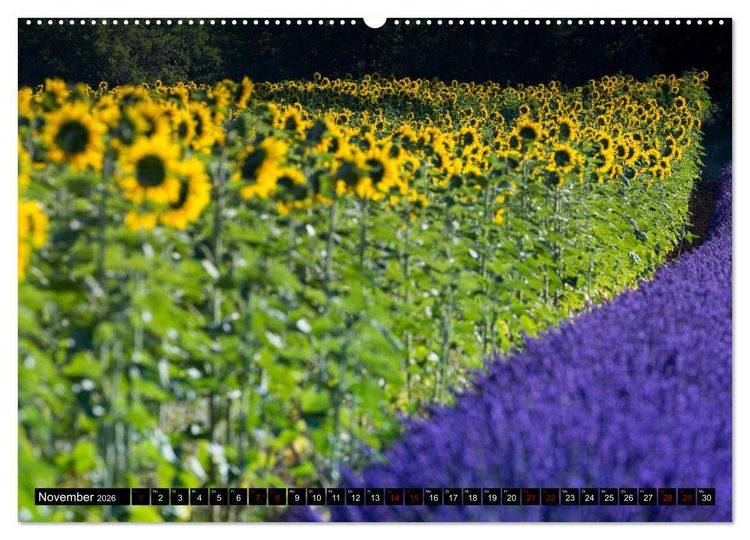 Produktbild: Provence im Rausch der Farben (Wandkalender 2026 DIN A2 quer), CALVENDO Monatskalender