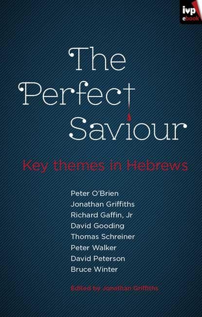 Produktbild: The Perfect Saviour
